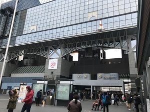 京都水族館 イルカの生態 株式会社 エーティーケー